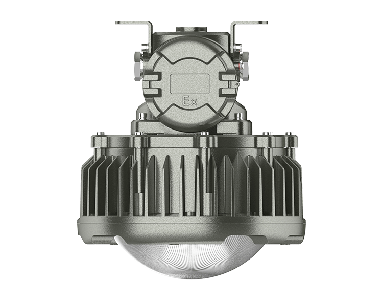 OHBF8231 (50-100W)  High quality Explosion proof hanging lamp
