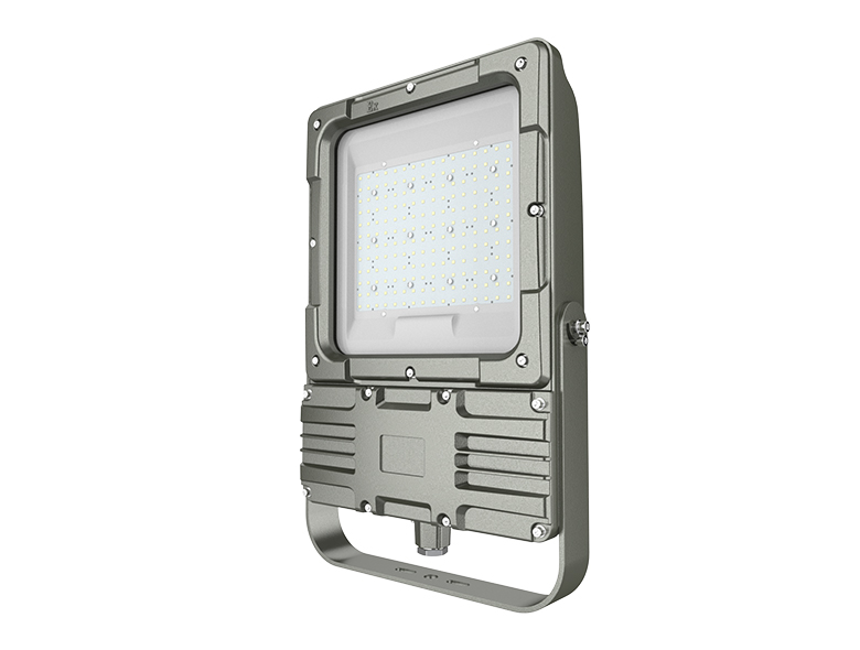 OHBF9193 (180W) (C) Explosion Proof Spot Light