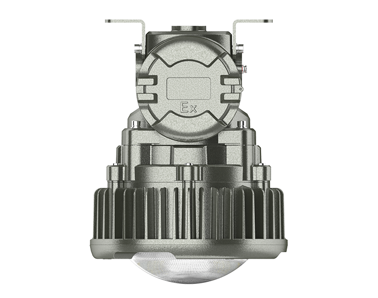 OHBF8237 (10~50W)  High quality  Explosion proof  hanging lamp